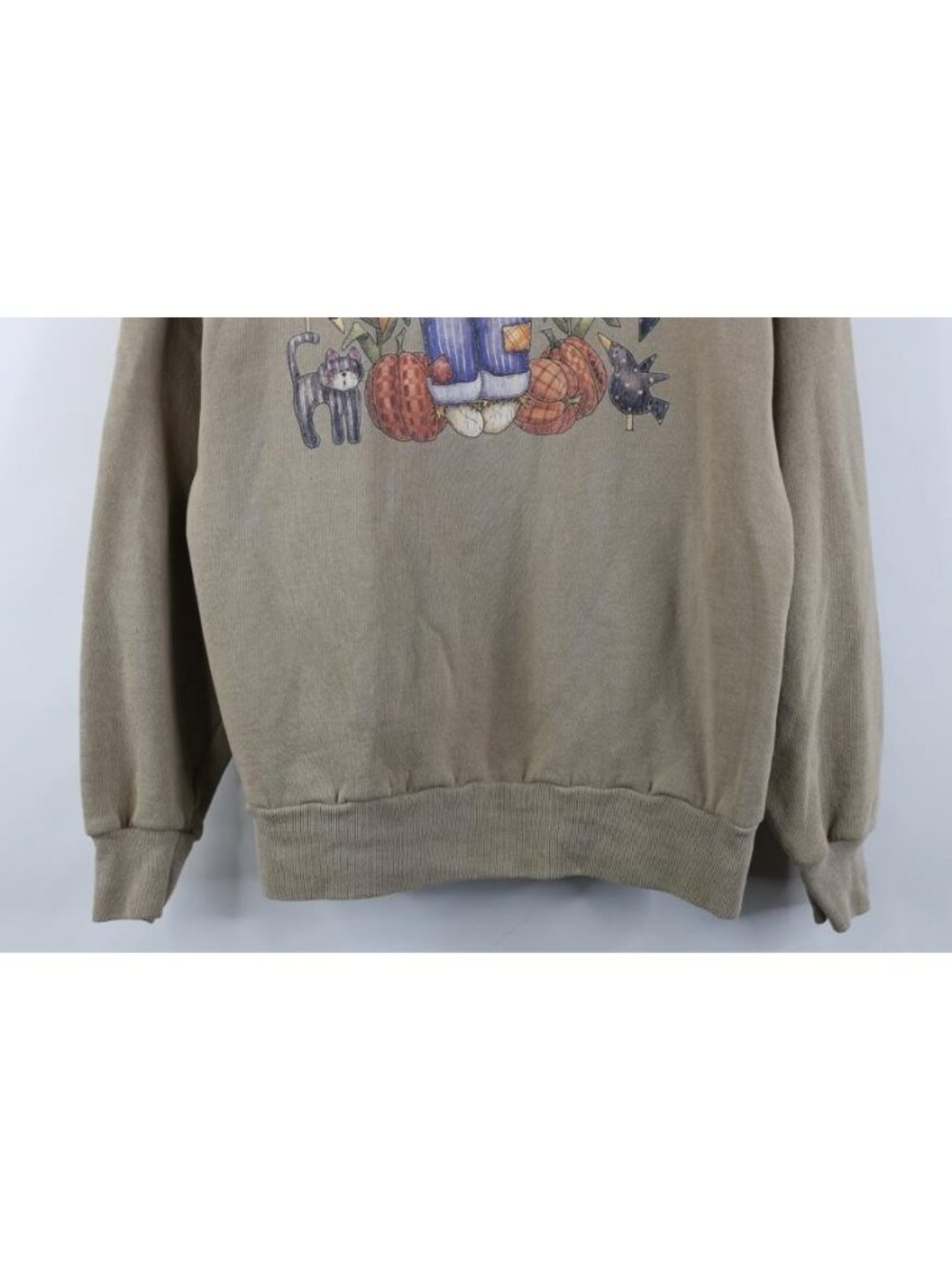 Vintage 90s Streetwear Womens Medium Halloween Fall Scarecrow Cat Sweatshirt - Picture 3 of 12